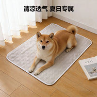 Pet Training Pads Absorbent Leak-Proof Deodorizing Disposable Puppy Pee Pads for Dogs & Cats