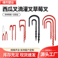 Strawberry Watermelon Plant Fixing Forks for Garden Support and Rooting