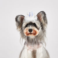 Pet Birthday Party Hat for Dogs and Cats - Decorative Headwear