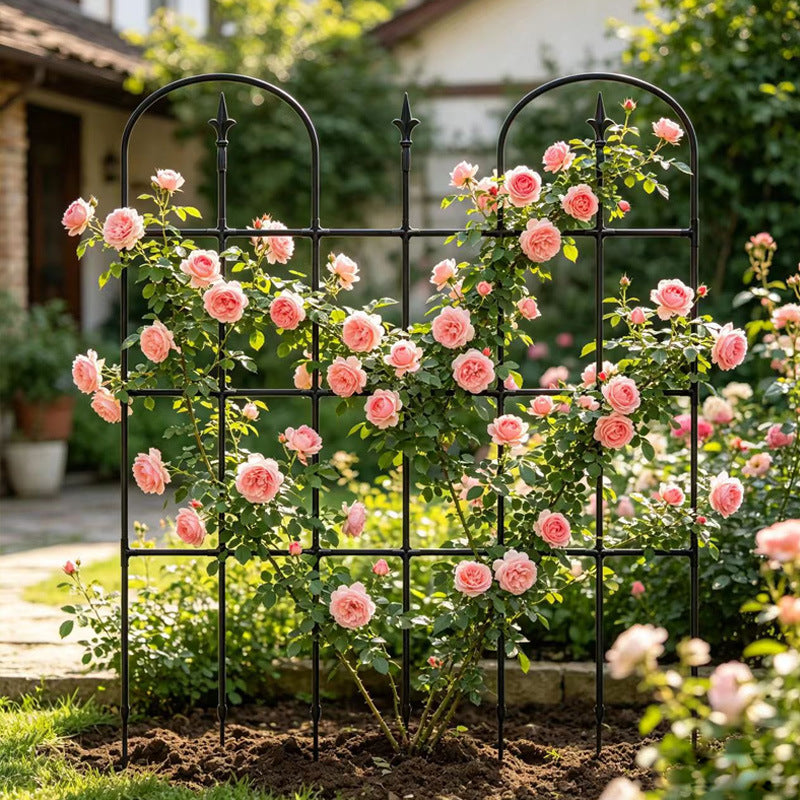 Garden Arch Trellis for Climbing Plants, Cucumber Bean Support, Morning Glory Rose Vine Frame