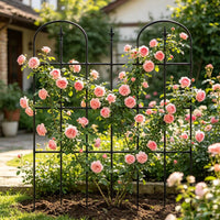 Garden Arch Trellis for Climbing Plants, Cucumber Bean Support, Morning Glory Rose Vine Frame