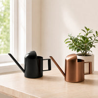 Stainless Steel Long Spout Watering Can for Indoor Plants, 300ML Mini Garden Watering Pot