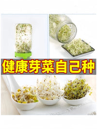Mason Jar Sprouting Kit for Hydroponic Broccoli Alfalfa Sprouts, Thick Glass Seedling Bottle