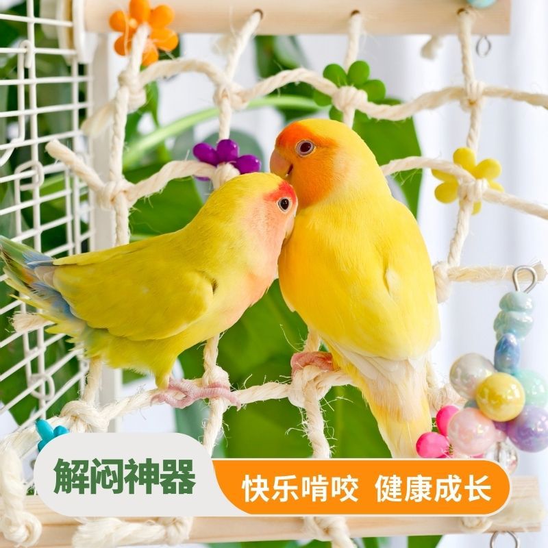 Parrot Climbing Net Chew Toy for Small to Large Birds - Sisal & Acrylic or Leaf & Pinecone Designs