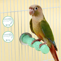 Parrot Perch Stand with Grinding Stick for Small to Medium Birds