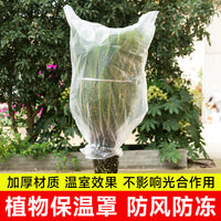 Wholesale Plant Winter Protection Cover for Fruit Trees, Frost and Rain Protection, Tree Guard, Flower Insulation Film, Plant Protective Cover