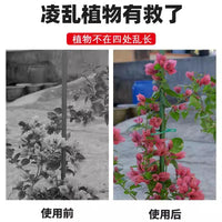 Adjustable Plant Twist Ties and Clips for Garden Support, Reusable Vine Fasteners
