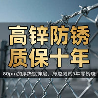 Hot-Dip Galvanized Steel Wire Mesh Fence for Garden and Poultry Enclosures