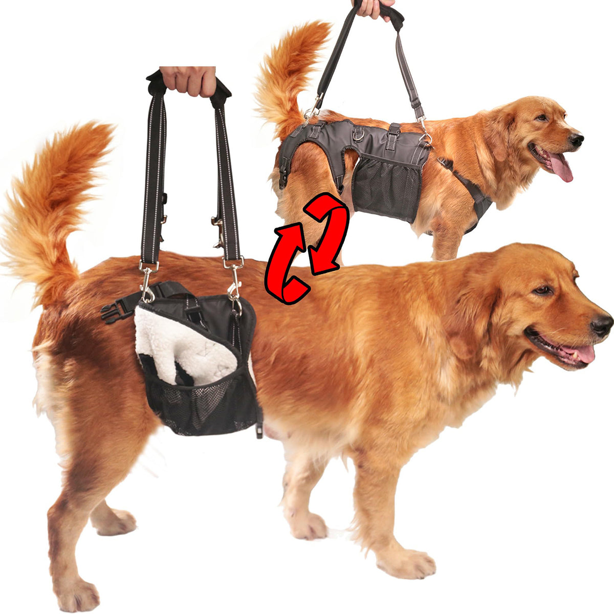 Dog Mobility Harness for Injured, Disabled, or Senior Dogs - Support and Rehabilitation Aid