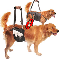 Dog Mobility Harness for Injured, Disabled, or Senior Dogs - Support and Rehabilitation Aid