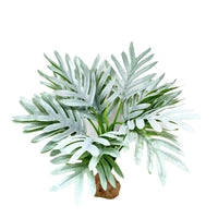 Artificial Aquarium Plants for Fish Tank Decoration and Reptile Habitats
