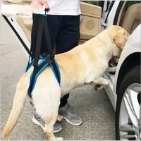 Pet Dog Rear Leg Support Harness for Injury Rehabilitation & Mobility Aid