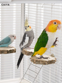 Parrot Prickly Ash Wood Standing Platform for Budgies and Peonies, Solid Wood Rest Platform, Jumping Platform, Bird Cage Decoration
