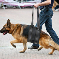 Pet Dog Mobility Harness for Injured or Disabled Rear Legs, Breathable Mesh Support Sling