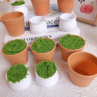 Miniature DIY Crochet Plant Pot with Artificial Grass for Car & Home Decor
