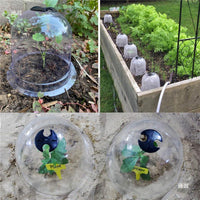 Mini Greenhouse Plant Cover with Fixing Pegs for Garden and Balcony, Moisturizing and Frost Protection