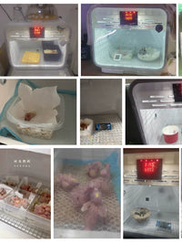 HT36 PID Constant Temperature and Humidity Incubator for Reptiles and Birds