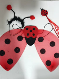 Ladybug Wings Kids' Costume Set for Performances