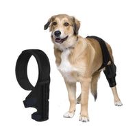 Pet Dog Knee Brace for Injury Recovery and Leg Support