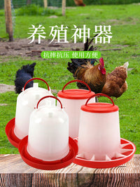 Automatic Chicken Feeder and Waterer Set for Poultry