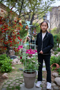 Clematis Iron Trellis Climbing Plant Support for Garden Decoration