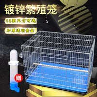 Large Galvanized Parrot Bird Cage for Medium to Large Birds - Myna, Budgie, Peony Parrot Breeding Cage