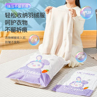 Vacuum Compression Storage Bags for Clothes and Quilts with Electric Pump