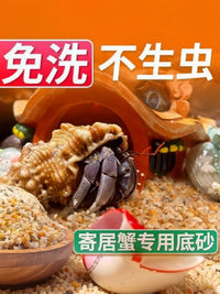 Hermit Crab Natural Aquarium Substrate Sand for Terrariums and Aquariums