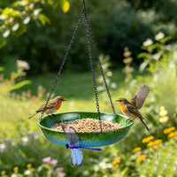 Hanging Iron Bird Feeder & Bath for Garden & Patio