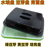 Thickened Seedling Tray Hydroponic Bean Sprout Growing Kit for Home Balcony Vegetable Cultivation