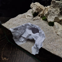 Acrylic Reptile Hideout House for Terrarium Landscaping, Small Size