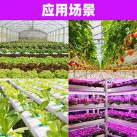 Full Spectrum LED Grow Light for Indoor Plants Seedling Succulents Greenhouse Hydroponics