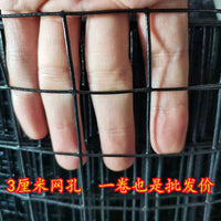 Black Plastic Coated Wire Mesh Fence for Poultry, Gardens, and Enclosures