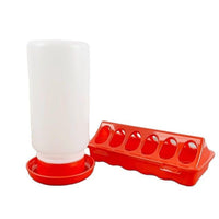 Automatic Quail Feeder and Waterer for Small Birds