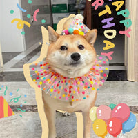 Pet Birthday Bandana and Hat Set for Small to Medium Dogs