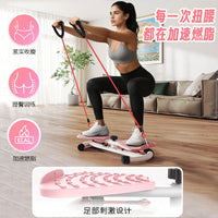 Twist Waist Disc with Resistance Bands for Home Fitness and Abdominal Toning