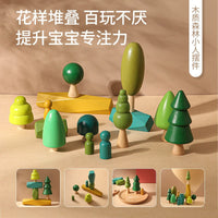Wooden Geometric Stacking Toy for Early Education