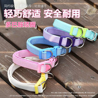 Pet Dog Collar for Small to Medium Dogs, Adjustable Nylon Neck Collar for Walking and Training