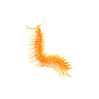 24-Piece Realistic Insect Animal Model Set for Education and Decoration