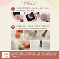 Cheng Shi An Professional Makeup Brush Set for Face and Eyes