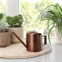 Mini Stainless Steel Watering Can for Indoor Plants & Succulents, Small Garden Sprinkler Pot