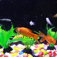 Acrylic Desktop Fish Tank with Landscaping Options for Goldfish and Small Aquatic Life