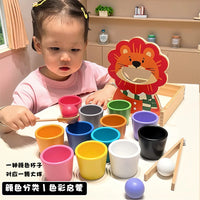 Montessori Fine Motor Skill Development Toy Set for Toddlers, Color Recognition Educational Game for Early Learning
