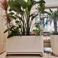 Indoor Mobile Planter Box with Water Tray for Living Room Balcony Rooftop Terrace, Stainless Steel Wheels Outdoor Landscape Planting Box