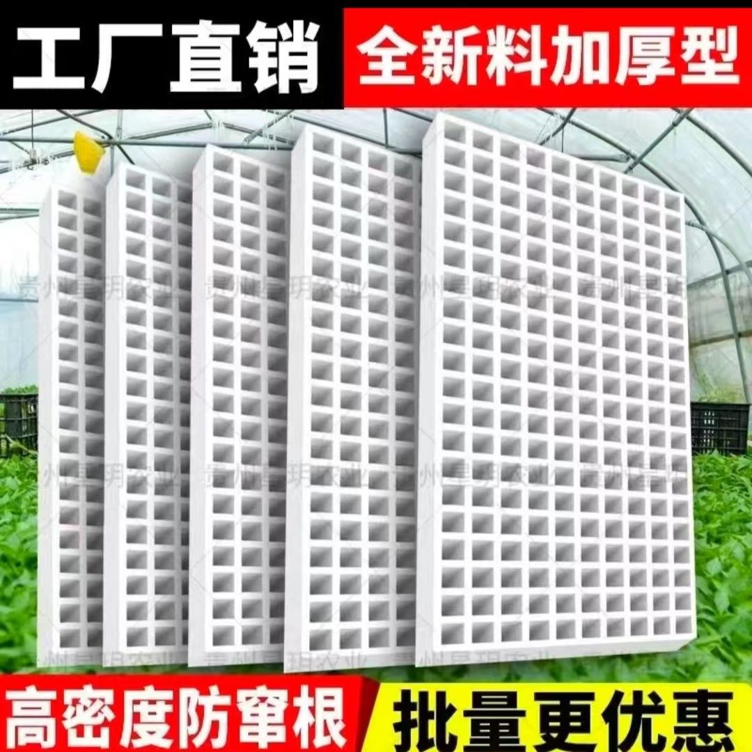 High-Density Foam Seedling Trays for Tobacco, Pepper, Watermelon, Corn - 162 Cells