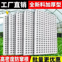 High-Density Foam Seedling Trays for Tobacco, Pepper, Watermelon, Corn - 162 Cells