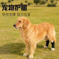 Pet Dog Leg Brace for Joint Support and Injury Protection