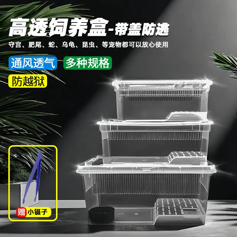 Amphibious Reptile Habitat with Lid for Frogs, Turtles, Crabs, and Salamanders