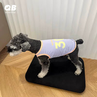 Pet Cooling Vest for Dogs - Breathable Mesh Summer Shirt for Small to Medium Breeds
