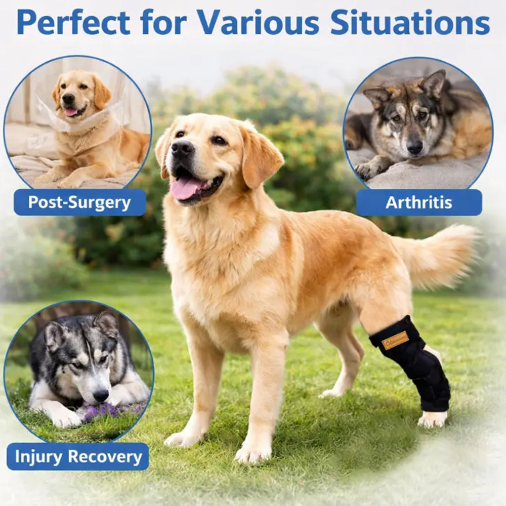 Dog Rear Leg Brace for Injury Recovery and Joint Protection, Breathable Pet Hock and Knee Support